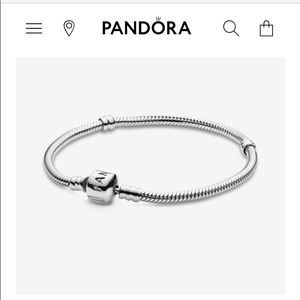 Pandora Moments Charm bracelet